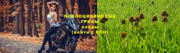 не бодяженный Осташков
