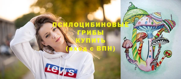 мет Арсеньев