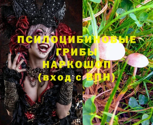 мет Арсеньев