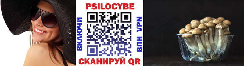 Псилоцибиновые грибы Magic Shrooms Малгобек